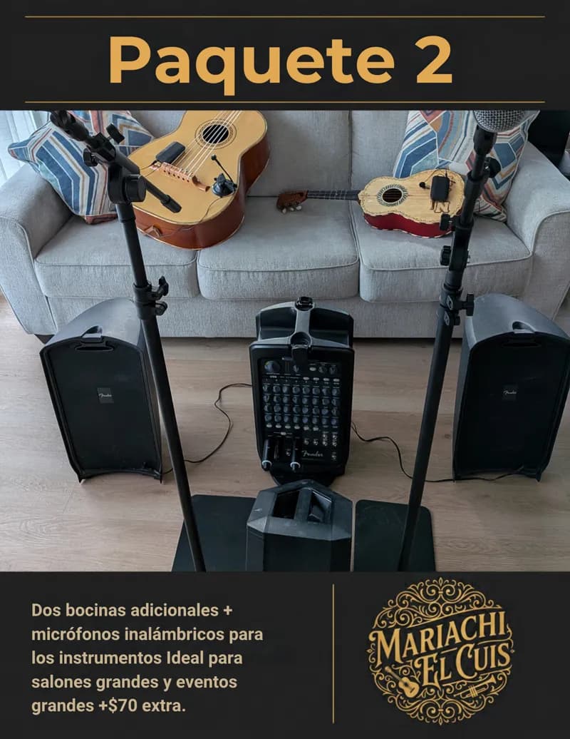 Volante del Paquete 2 con el equipo de sonido