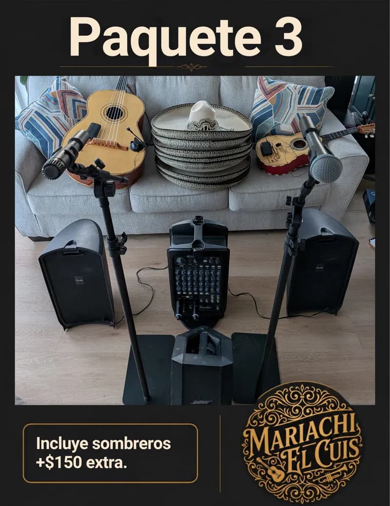 Volante del Paquete 3 con el equipo de sonido
